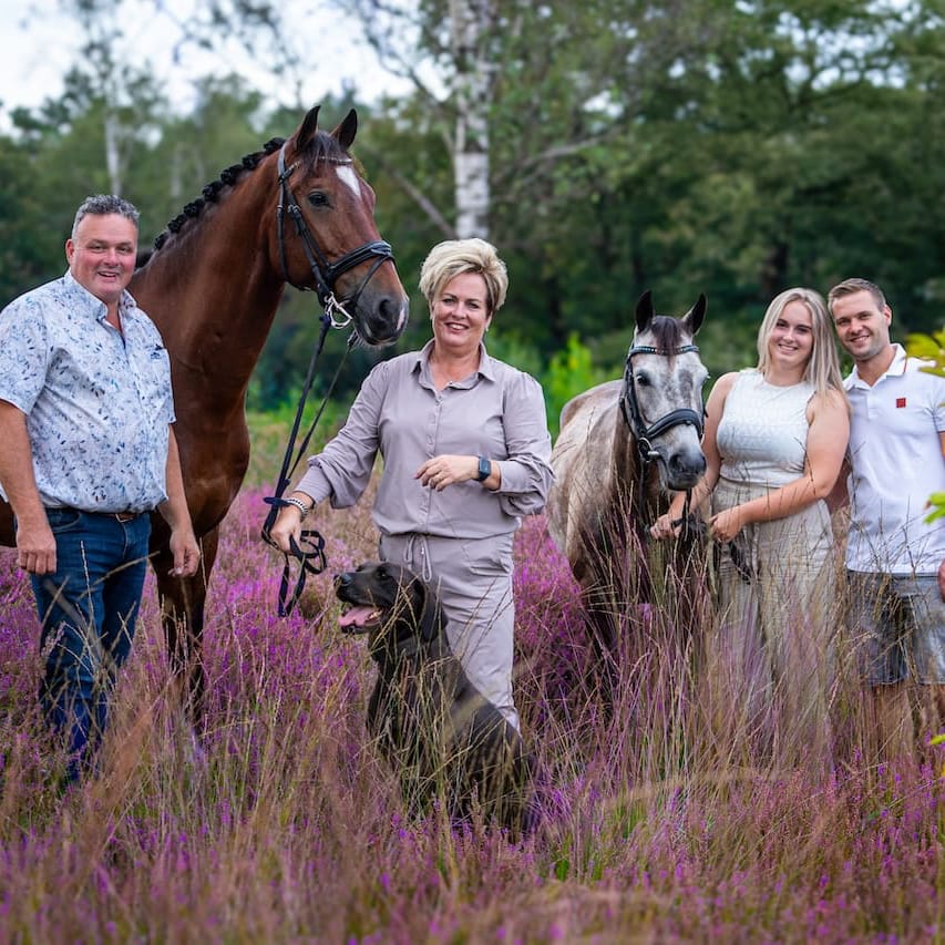 Paard portret